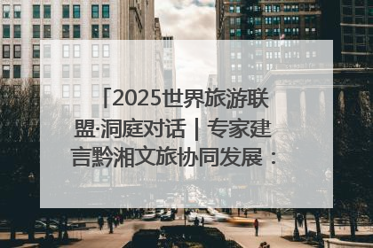 2025世界旅游联盟·洞庭对话｜专家建言黔湘文旅协同发展：聚焦产品稀缺性 深化区域经验共享