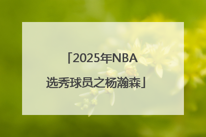 2025年NBA选秀球员之杨瀚森