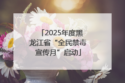 2025年度黑龙江省“全民禁毒宣传月”启动