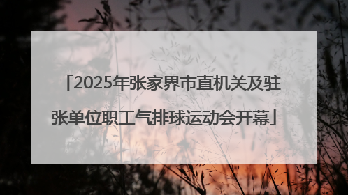2025年张家界市直机关及驻张单位职工气排球运动会开幕