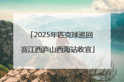 2025年匹克球巡回赛江西庐山西海站收官