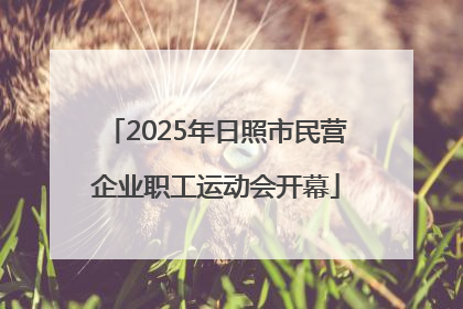 2025年日照市民营企业职工运动会开幕