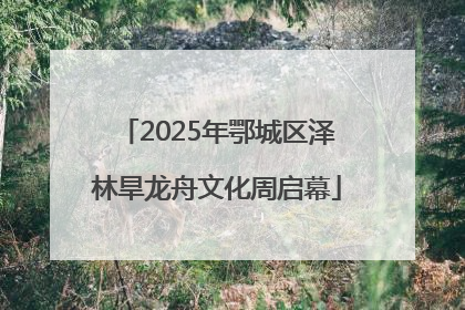 2025年鄂城区泽林旱龙舟文化周启幕