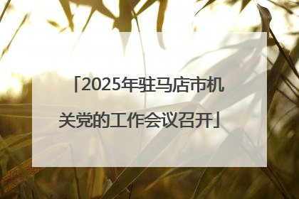 2025年驻马店市机关党的工作会议召开