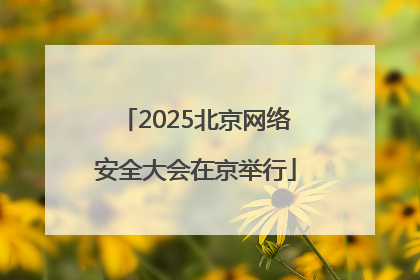 2025北京网络安全大会在京举行