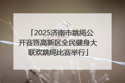2025济南市跳绳公开赛暨高新区全民健身大联欢跳绳比赛举行