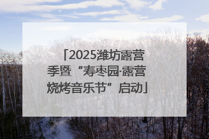 2025潍坊露营季暨“寿枣园·露营烧烤音乐节”启动