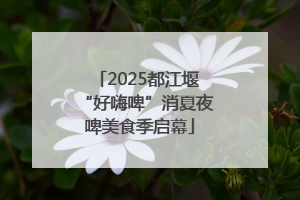 2025都江堰“好嗨啤”消夏夜啤美食季启幕