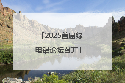 2025首届绿电铝论坛召开