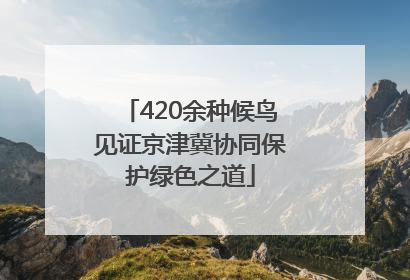 420余种候鸟见证京津冀协同保护绿色之道