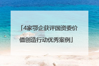 4家鄂企获评国资委价值创造行动优秀案例