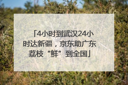 4小时到武汉24小时达新疆，京东助广东荔枝“鲜”到全国