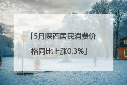 5月陕西居民消费价格同比上涨0.3%