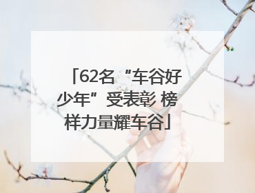 62名“车谷好少年”受表彰 榜样力量耀车谷