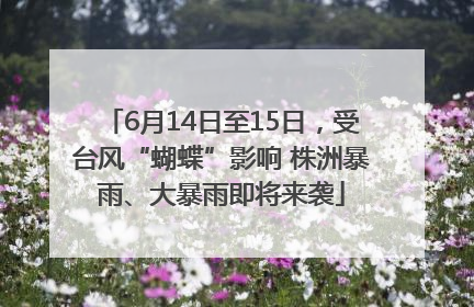 6月14日至15日，受台风“蝴蝶”影响 株洲暴雨、大暴雨即将来袭