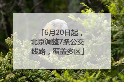 6月20日起，北京调整7条公交线路，覆盖多区