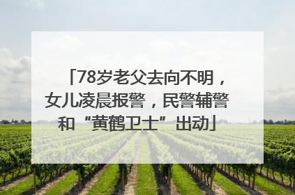 78岁老父去向不明，女儿凌晨报警，民警辅警和“黄鹤卫士”出动