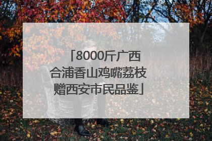 8000斤广西合浦香山鸡嘴荔枝赠西安市民品鉴