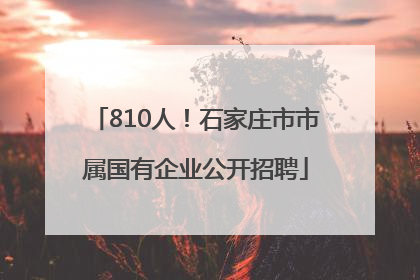 810人！石家庄市市属国有企业公开招聘