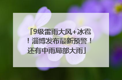 9级雷雨大风+冰雹！淄博发布最新预警！还有中雨局部大雨