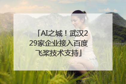 AI之城！武汉229家企业接入百度飞桨技术支持