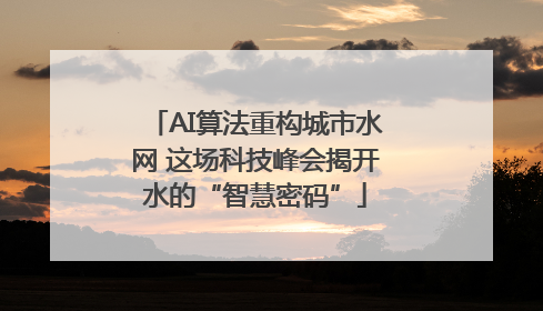 AI算法重构城市水网 这场科技峰会揭开水的“智慧密码”