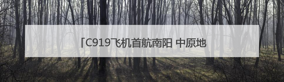 C919飞机首航南阳 中原地区迎来国产大飞机训练新篇章
