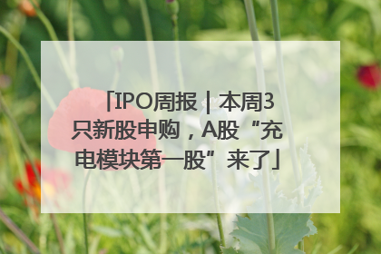 IPO周报｜本周3只新股申购，A股“充电模块第一股”来了
