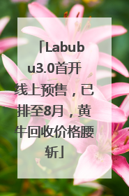 Labubu3.0首开线上预售，已排至8月，黄牛回收价格腰斩