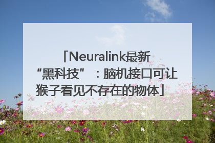 Neuralink最新“黑科技”：脑机接口可让猴子看见不存在的物体