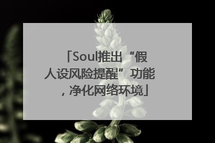 Soul推出“假人设风险提醒”功能，净化网络环境